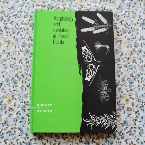 Morphology and Evolution of Fossil Plants Biology Studies - Picture 1 of 3